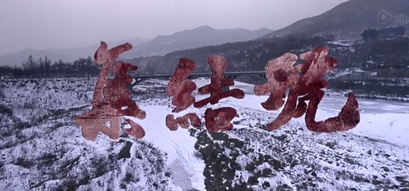 銀川伊百盛生物工程有限公司 銀川伊百盛生物工程有限公司