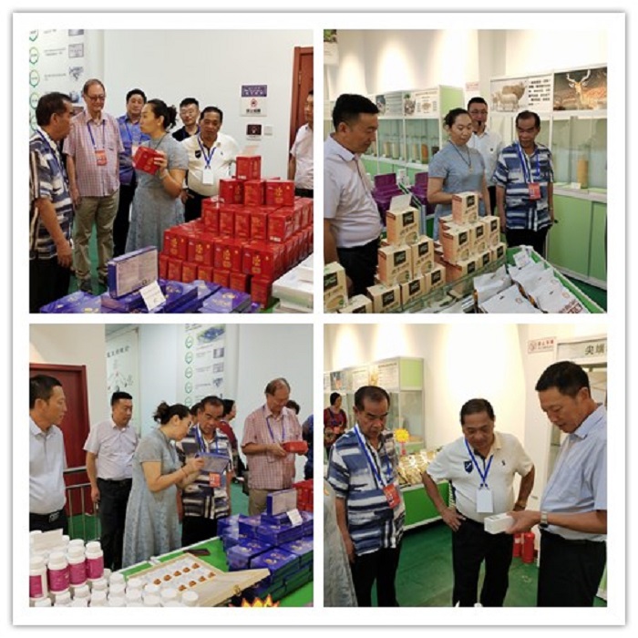 銀川伊百盛生物工程有限公司 銀川伊百盛生物工程有限公司