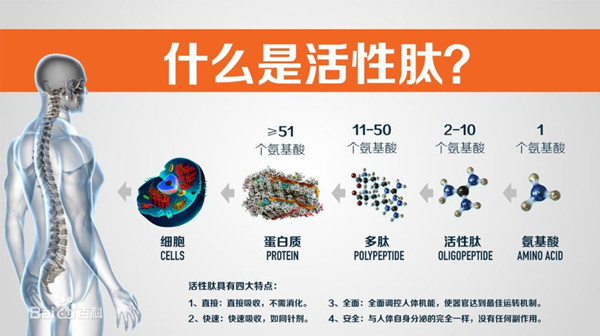 銀川伊百盛生物工程有限公司 銀川伊百盛生物工程有限公司