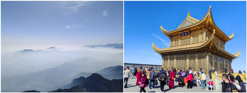 銀川伊百盛生物工程有限公司 銀川伊百盛生物工程有限公司