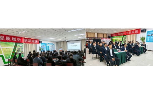 “培” 出奮進新姿態，“訓” 就發展新動能 —— 伊百盛培訓協同賦能紀實