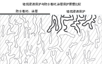圖片6.png